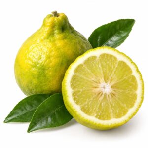 Bergamotto Fantastico Corigliano Rossano